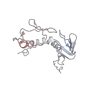 3525_5mlc_H_v1-5
Cryo-EM structure of the spinach chloroplast ribosome reveals the location of plastid-specific ribosomal proteins and extensions