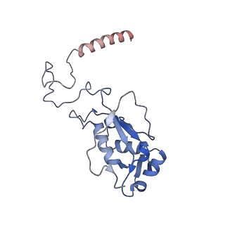 3525_5mlc_L_v1-5
Cryo-EM structure of the spinach chloroplast ribosome reveals the location of plastid-specific ribosomal proteins and extensions