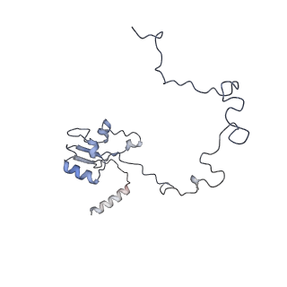 3525_5mlc_N_v1-5
Cryo-EM structure of the spinach chloroplast ribosome reveals the location of plastid-specific ribosomal proteins and extensions