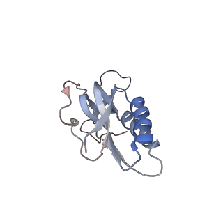 3525_5mlc_O_v1-5
Cryo-EM structure of the spinach chloroplast ribosome reveals the location of plastid-specific ribosomal proteins and extensions