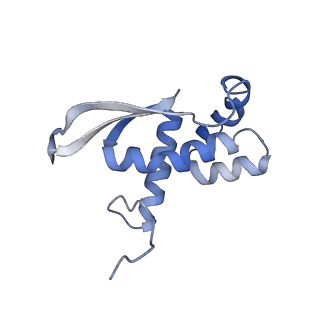3525_5mlc_P_v1-5
Cryo-EM structure of the spinach chloroplast ribosome reveals the location of plastid-specific ribosomal proteins and extensions
