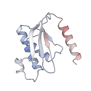 3525_5mlc_Q_v1-5
Cryo-EM structure of the spinach chloroplast ribosome reveals the location of plastid-specific ribosomal proteins and extensions