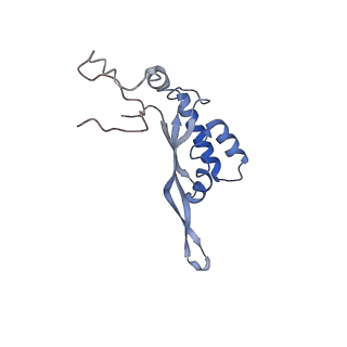 3525_5mlc_U_v1-5
Cryo-EM structure of the spinach chloroplast ribosome reveals the location of plastid-specific ribosomal proteins and extensions