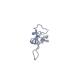 3525_5mlc_Y_v1-5
Cryo-EM structure of the spinach chloroplast ribosome reveals the location of plastid-specific ribosomal proteins and extensions