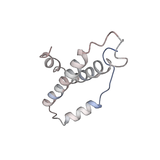 3525_5mlc_Z_v1-5
Cryo-EM structure of the spinach chloroplast ribosome reveals the location of plastid-specific ribosomal proteins and extensions