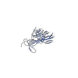 9139_6mlm_A_v1-2
H7 HA0 in complex with Fv from H7.5 IgG