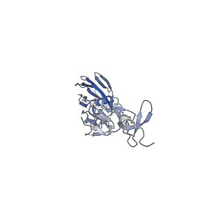9139_6mlm_B_v1-2
H7 HA0 in complex with Fv from H7.5 IgG
