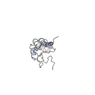 9139_6mlm_D_v1-2
H7 HA0 in complex with Fv from H7.5 IgG