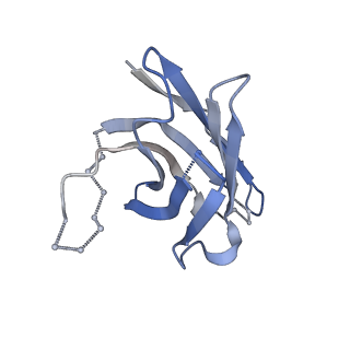 9139_6mlm_F_v1-2
H7 HA0 in complex with Fv from H7.5 IgG