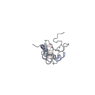 9139_6mlm_J_v1-2
H7 HA0 in complex with Fv from H7.5 IgG