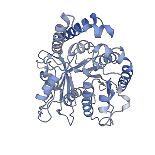 9140_6mlq_A_v1-3
Cryo-EM structure of microtubule-bound Kif7 in the ADP state