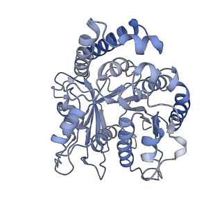 9140_6mlq_A_v1-4
Cryo-EM structure of microtubule-bound Kif7 in the ADP state