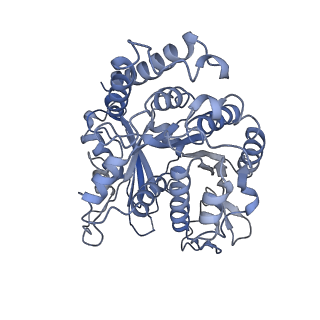 9140_6mlq_B_v1-3
Cryo-EM structure of microtubule-bound Kif7 in the ADP state
