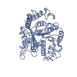 9140_6mlq_B_v1-4
Cryo-EM structure of microtubule-bound Kif7 in the ADP state