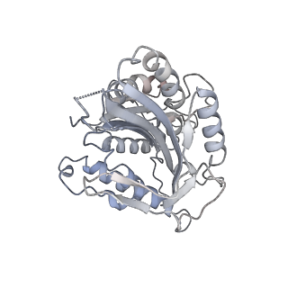 9140_6mlq_C_v1-3
Cryo-EM structure of microtubule-bound Kif7 in the ADP state