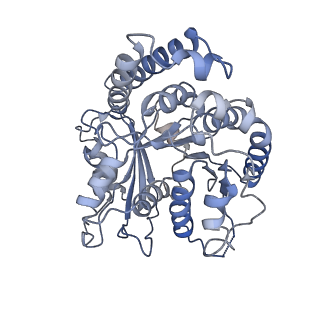 9141_6mlr_A_v1-4
Cryo-EM structure of microtubule-bound Kif7 in the AMPPNP state