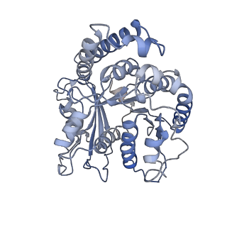 9141_6mlr_A_v1-5
Cryo-EM structure of microtubule-bound Kif7 in the AMPPNP state