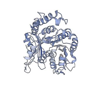 9141_6mlr_B_v1-4
Cryo-EM structure of microtubule-bound Kif7 in the AMPPNP state