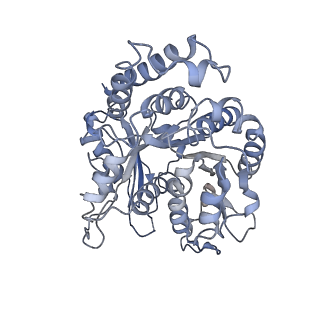 9141_6mlr_B_v1-5
Cryo-EM structure of microtubule-bound Kif7 in the AMPPNP state