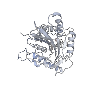9141_6mlr_C_v1-4
Cryo-EM structure of microtubule-bound Kif7 in the AMPPNP state