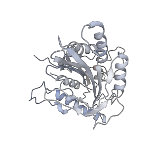 9141_6mlr_C_v1-5
Cryo-EM structure of microtubule-bound Kif7 in the AMPPNP state