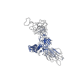 23915_7mm0_A_v1-3
Cryo-EM structure of SARS-CoV-2 spike in complex with neutralizing antibody B1-182.1 that targets the receptor-binding domain