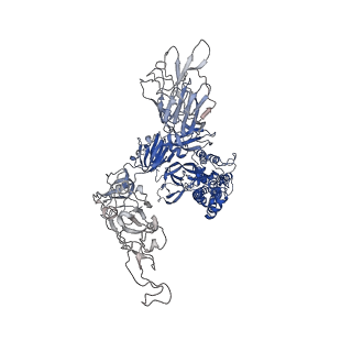 23915_7mm0_B_v1-3
Cryo-EM structure of SARS-CoV-2 spike in complex with neutralizing antibody B1-182.1 that targets the receptor-binding domain