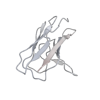 23915_7mm0_L_v1-3
Cryo-EM structure of SARS-CoV-2 spike in complex with neutralizing antibody B1-182.1 that targets the receptor-binding domain