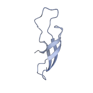 3531_5mmi_2_v1-4
Structure of the large subunit of the chloroplast ribosome