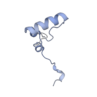 3531_5mmi_3_v1-4
Structure of the large subunit of the chloroplast ribosome