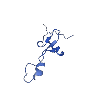 3531_5mmi_4_v1-4
Structure of the large subunit of the chloroplast ribosome