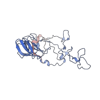 3531_5mmi_C_v1-4
Structure of the large subunit of the chloroplast ribosome