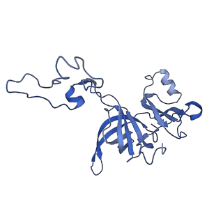 3531_5mmi_D_v1-4
Structure of the large subunit of the chloroplast ribosome