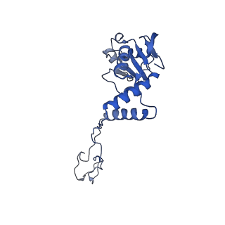3531_5mmi_E_v1-4
Structure of the large subunit of the chloroplast ribosome