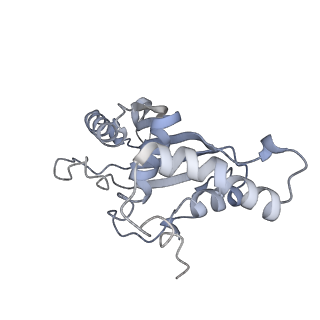 3531_5mmi_F_v1-4
Structure of the large subunit of the chloroplast ribosome
