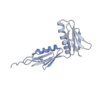 3531_5mmi_G_v1-4
Structure of the large subunit of the chloroplast ribosome