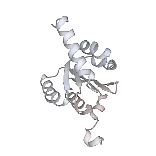 3531_5mmi_I_v1-4
Structure of the large subunit of the chloroplast ribosome