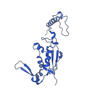 3531_5mmi_K_v1-4
Structure of the large subunit of the chloroplast ribosome
