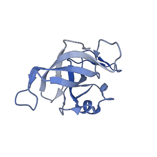 3531_5mmi_L_v1-4
Structure of the large subunit of the chloroplast ribosome