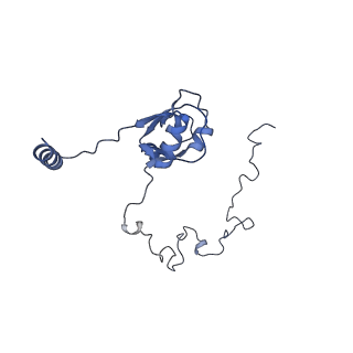 3531_5mmi_M_v1-4
Structure of the large subunit of the chloroplast ribosome