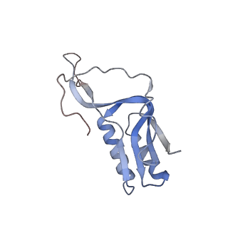 3531_5mmi_N_v1-4
Structure of the large subunit of the chloroplast ribosome