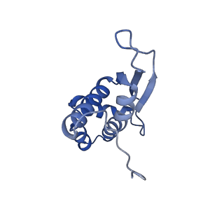 3531_5mmi_O_v1-4
Structure of the large subunit of the chloroplast ribosome