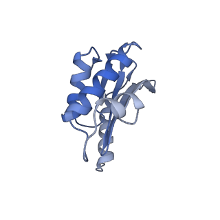 3531_5mmi_P_v1-4
Structure of the large subunit of the chloroplast ribosome