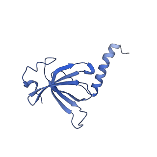 3531_5mmi_Q_v1-4
Structure of the large subunit of the chloroplast ribosome