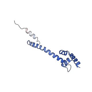 3531_5mmi_R_v1-4
Structure of the large subunit of the chloroplast ribosome