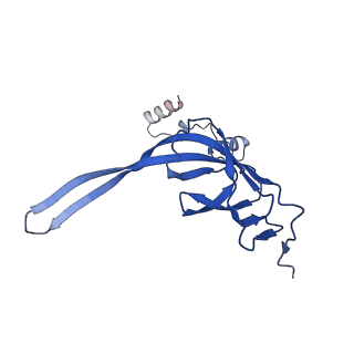 3531_5mmi_S_v1-4
Structure of the large subunit of the chloroplast ribosome