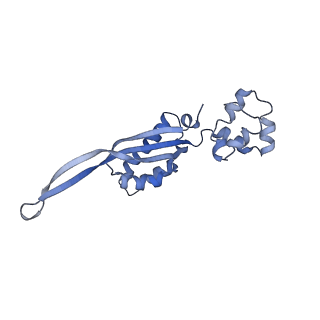 3531_5mmi_T_v1-4
Structure of the large subunit of the chloroplast ribosome