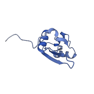 3531_5mmi_U_v1-4
Structure of the large subunit of the chloroplast ribosome