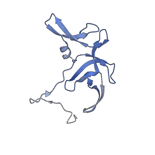 3531_5mmi_V_v1-4
Structure of the large subunit of the chloroplast ribosome
