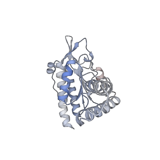3532_5mmj_b_v1-4
Structure of the small subunit of the chloroplast ribosome